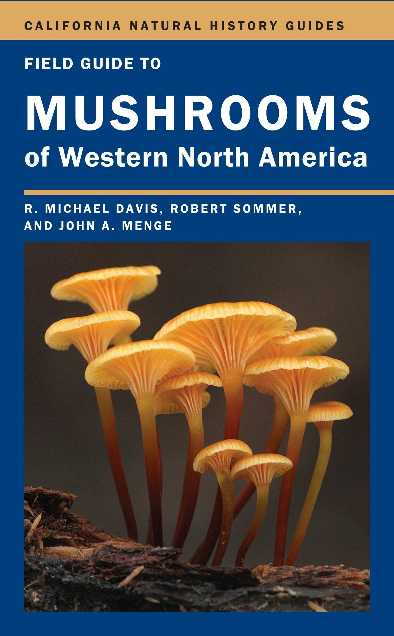 Book cover image for Field Guide to Mushrooms of Western North America ISBN: 9780520953604